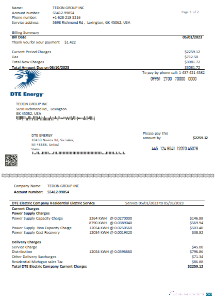 Download DTE Energy utility business bill SCR page 1 Photoshop template